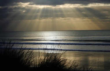 Beach Walkers logo