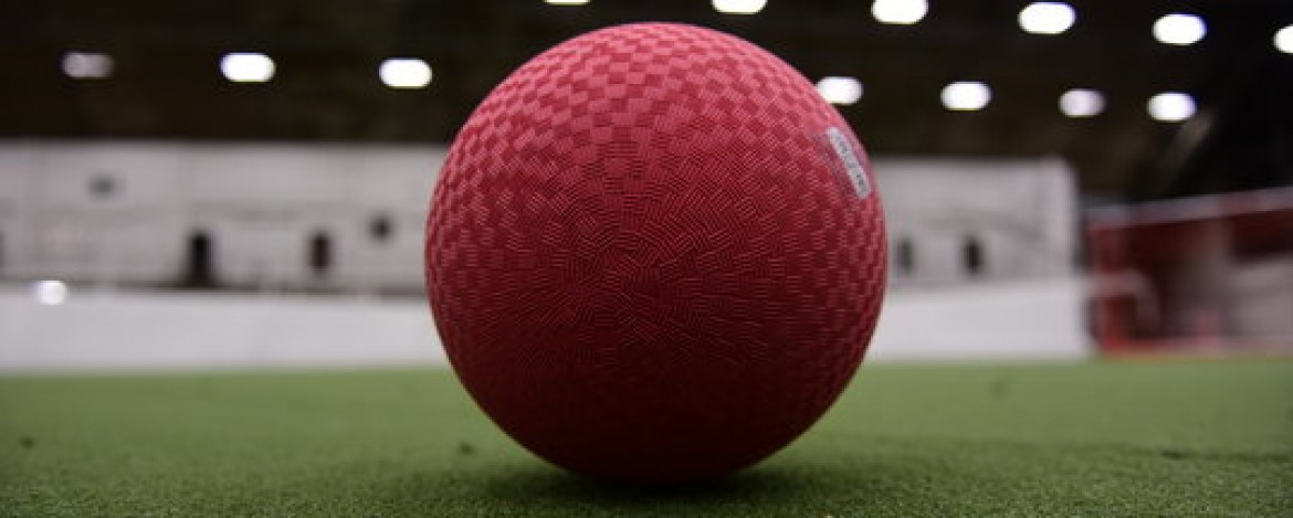 Dodgeball Fun banner