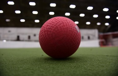 Dodgeball Fun logo