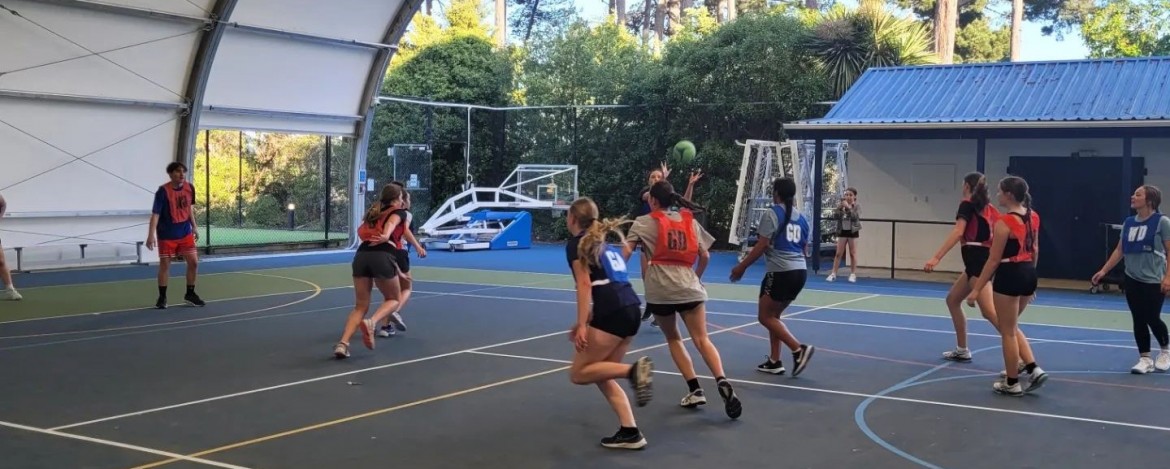 Summer Netball banner