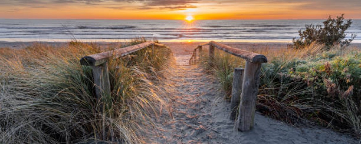 Beach Walkers  banner