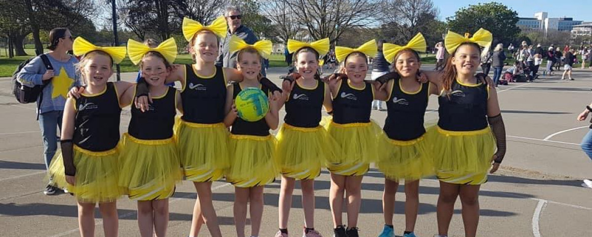 New Brighton Netball Club banner