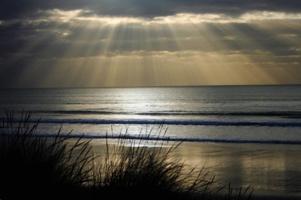 Dunes at Dawn Pic